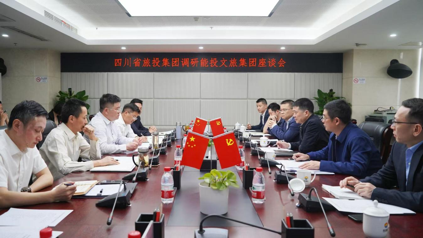 省尊龙凯时集团领导率队调研能投文旅集团